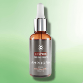 CBD Infused Terpene Based Oil by Amphora - 6000mg - 30ml - CBD Shack