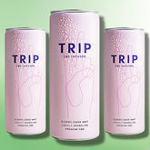 12 x TRIP 15mg CBD Infused Elderflower & Mint Drink 250ml