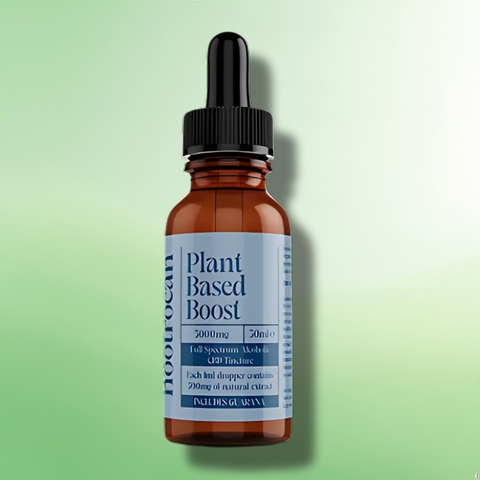 Full-Spectrum CBD Nootropic Tinctures by Nootrocan - 3000mg CBD - 30ml