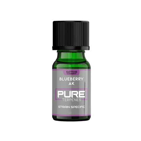 UK Flavour Pure Terpenes Sativa - 2.5ml - CBD Shack