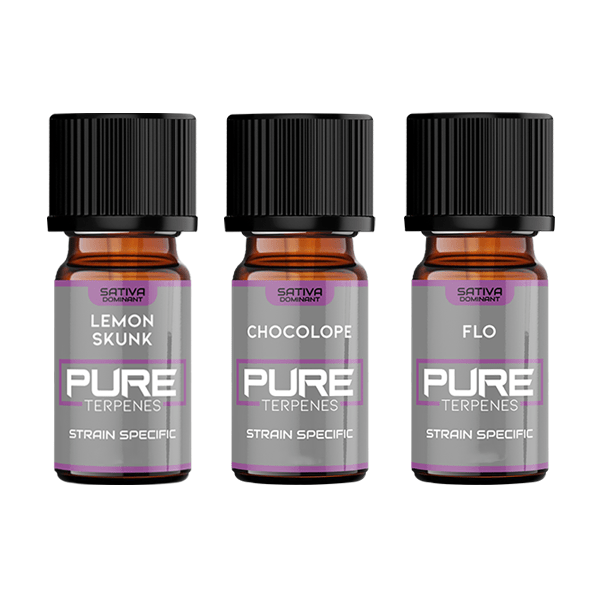 UK Flavour Pure Terpenes Sativa - 5ml - CBD Shack