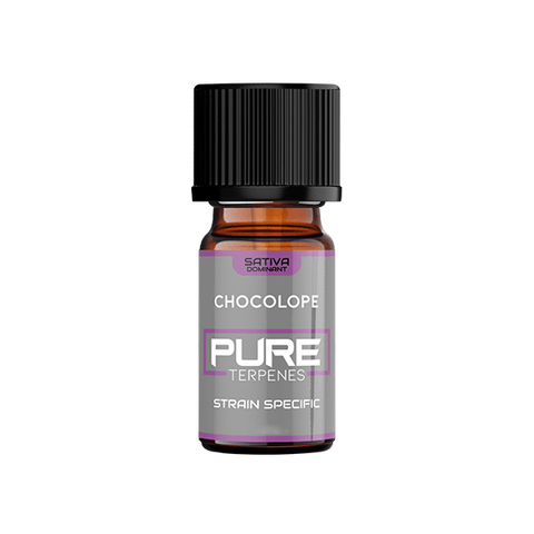 UK Flavour Pure Terpenes Sativa - 5ml - CBD Shack
