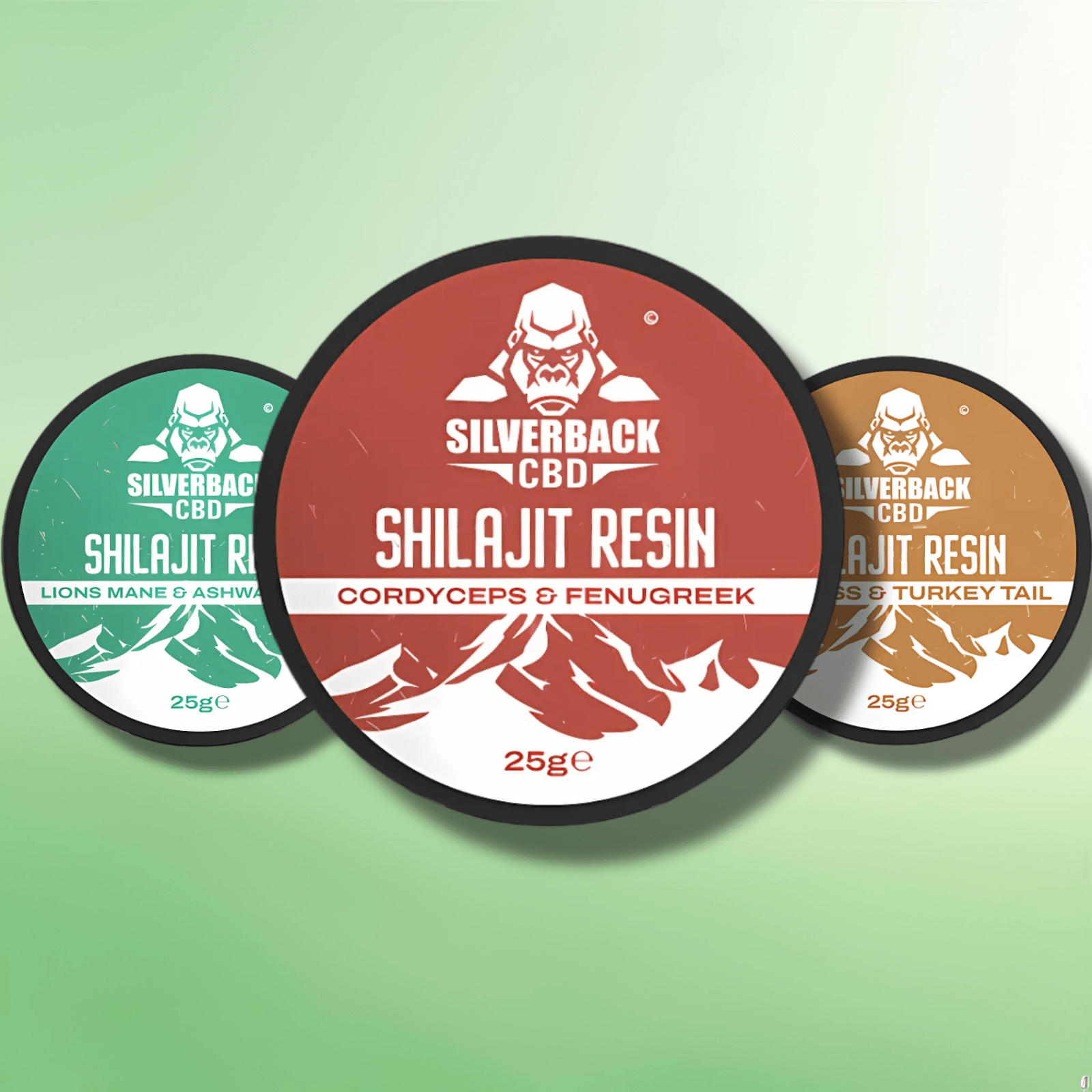 Premium Infused Shilajit Resins by Silverback - 4 Infused Flavours! - 25g - CBD Shack