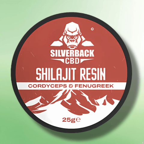 Premium Infused Shilajit Resins by Silverback - 4 Infused Flavours! - 25g - CBD Shack