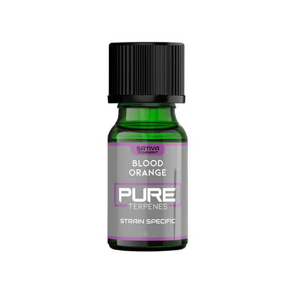 UK Flavour Pure Terpenes Sativa - 2.5ml - CBD Shack